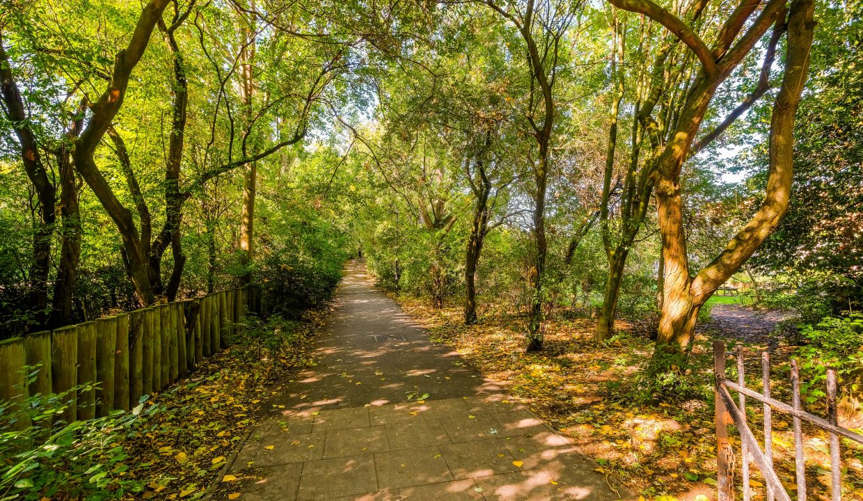 Flat 10, 58 Goldsmiths-34